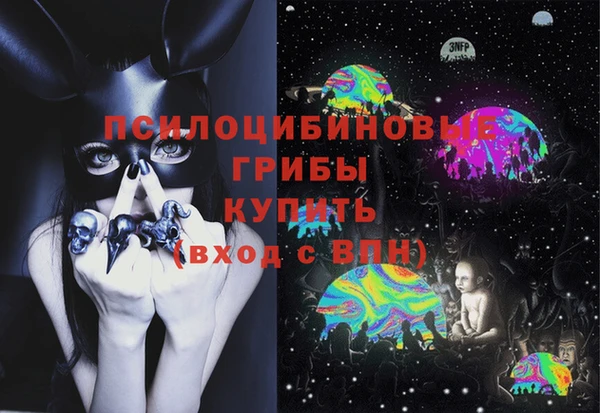 прущий лед Дмитровск