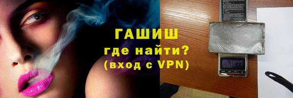 гидра Гусев