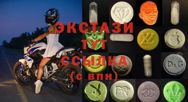гидра Гусев