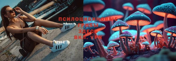 наркотики Гусь-Хрустальный