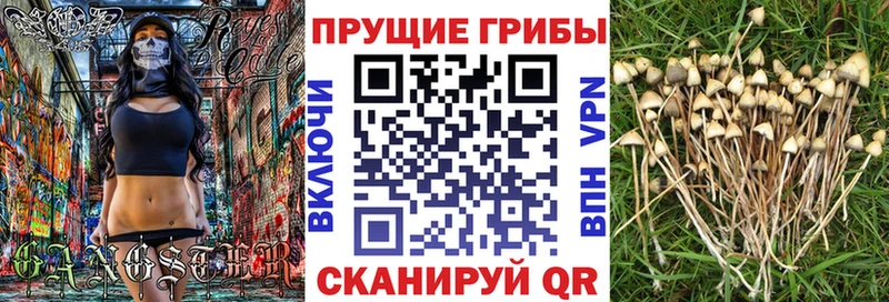 магазин продажи   Новая Усмань  OMG как зайти  Галлюциногенные грибы ЛСД 